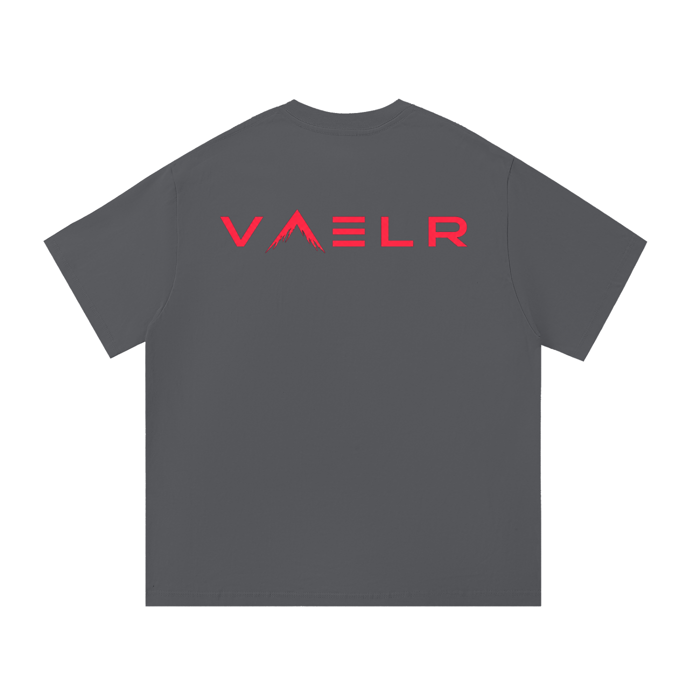 Cotton T-shirt, dark gray, crew neck, short sleeves, VAELR logo on back.