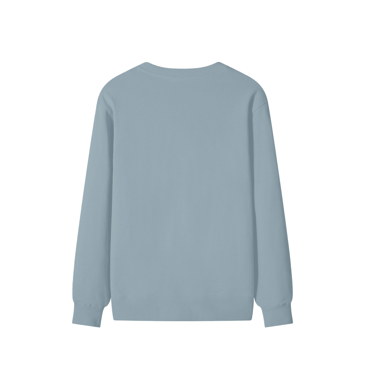 Light blue unisex cotton sweatshirt, crew neck, plain back view with long sleeves