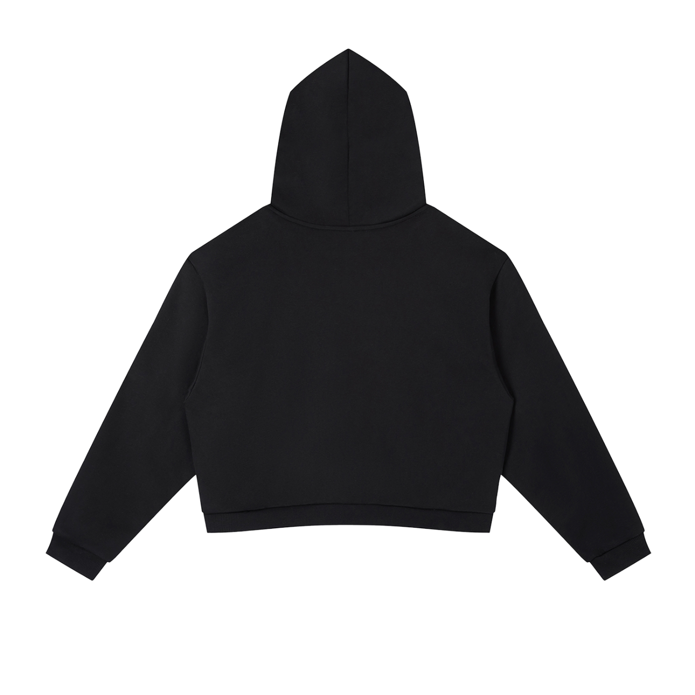 Black cropped pullover hoodie back view with hood and kangaroo pocket
