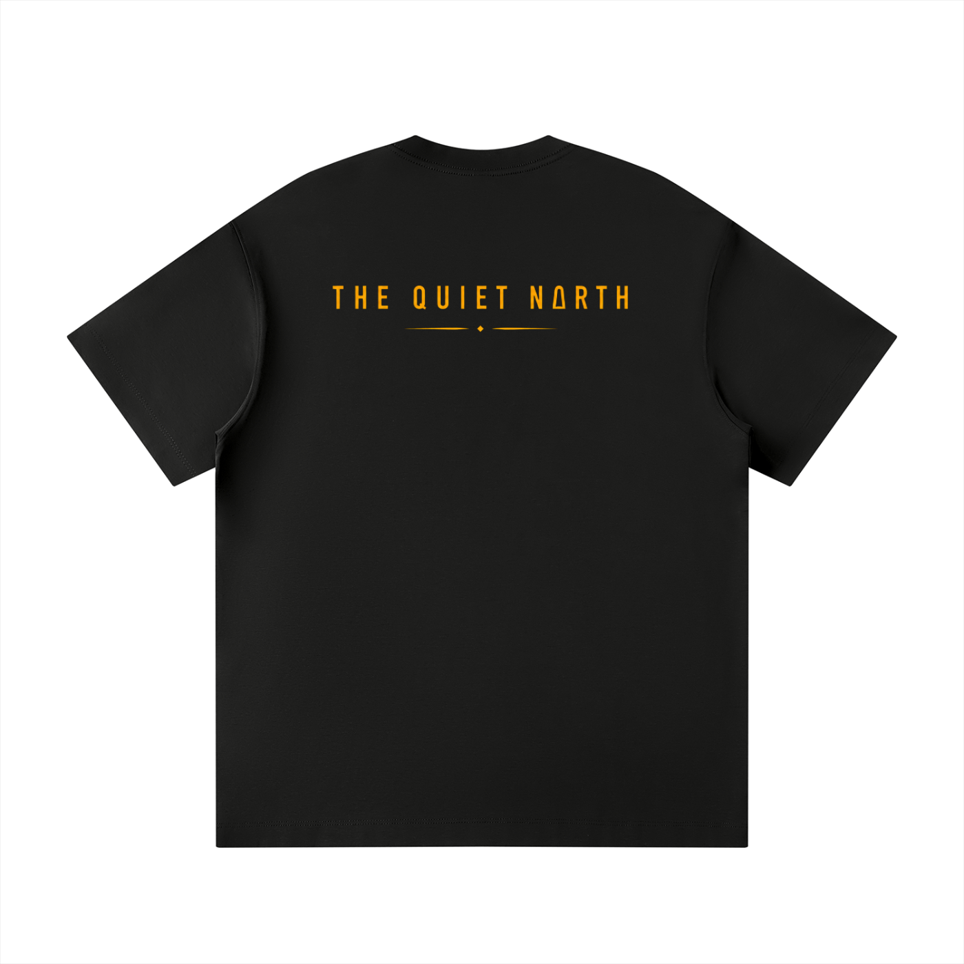 Black unisex loose-fit crewneck T-shirt with THE QUIET NORTH print on back