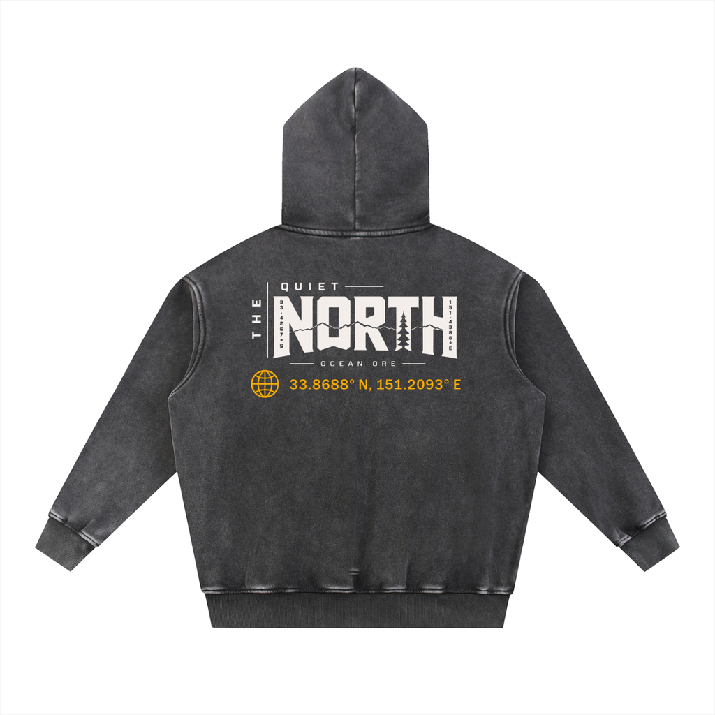 Dark charcoal oversize fleece hoodie, back view, hood, large logo graphic print