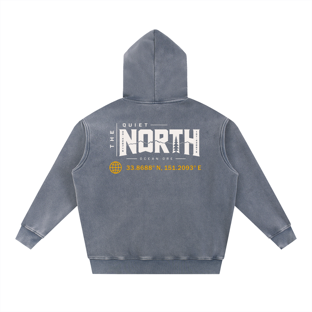Light blue-gray oversize fleece hoodie, back view, hood, large logo graphic print